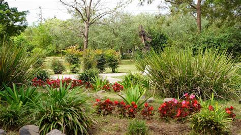 Der Jardín Botánico de Jóvito: Eine grüne Oase der Entspannung und des botanischen Wissens!