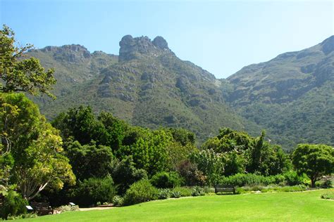  Die Harold Porter Botanische Gärten: Eine Oase der Flora am Fuß des Hottentots Holland