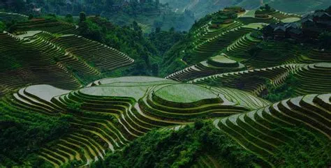  Die Longji-Terrassenzüge: Ein grünes Wunderwerk der Architektur und Kultur!